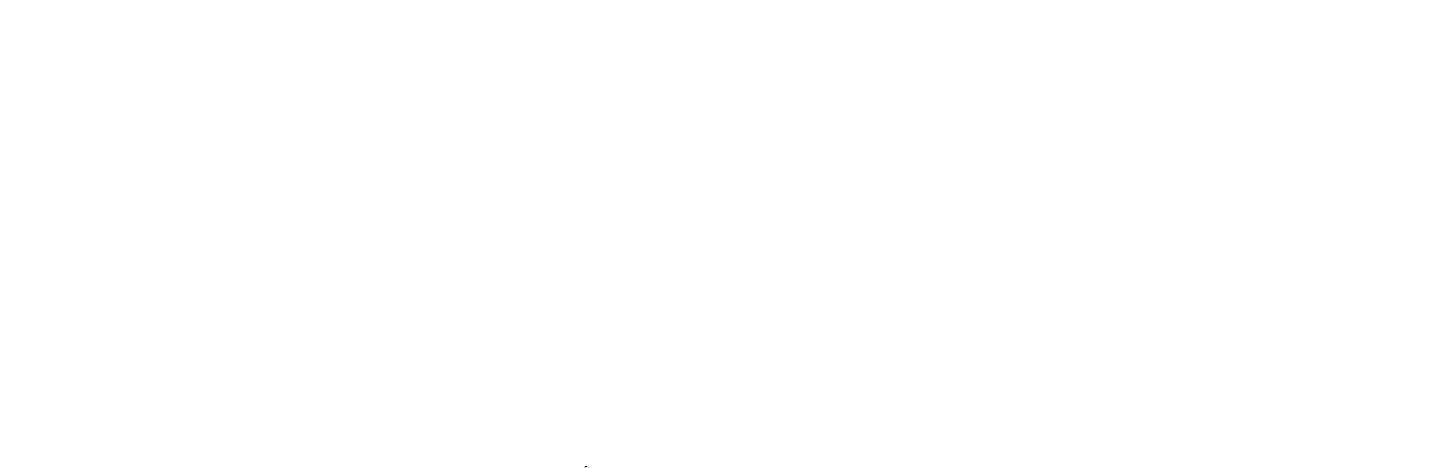 gordon logo wit